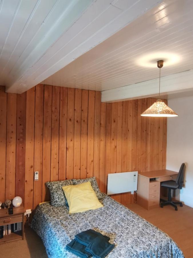 Maison Centre Ville Nérac エクステリア 写真